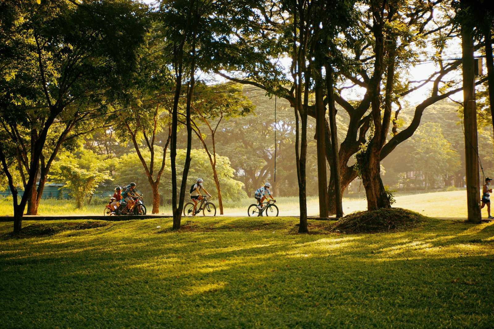 Cyclists ride through a lush, sunlit park. Perfect for outdoor recreation themes.